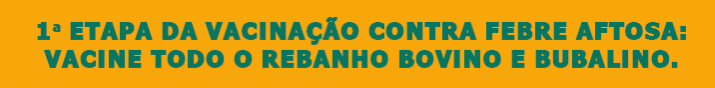 Banner 2