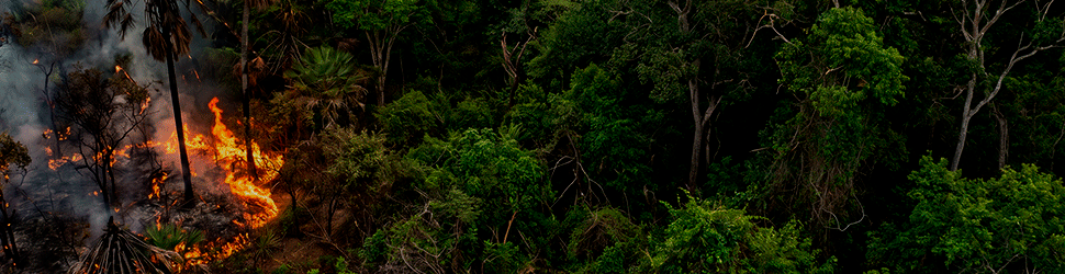 BANNER-QUEIMADAS--970-x250